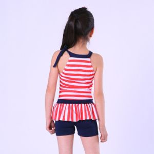 2019 Popular Stripe Split Skirt Swimming Suit