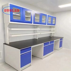 Rectangular Chemistry Lab Bench Laboratory Benches and Cabinets for Hospital