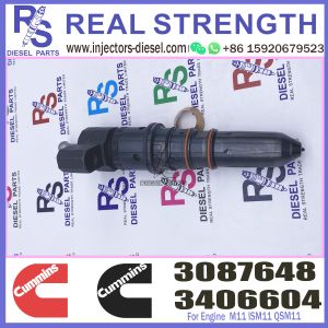 M11 ISM11 QSM11 Cummins Diesel Injector Engine Fuel Injection 3406604 3087648