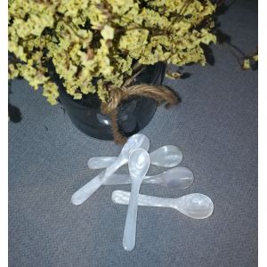 Natural Mother Of Pearl Caviar Spoon