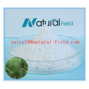 China Serenoa Serrulata Fruit Extract supplier with factory price on sale