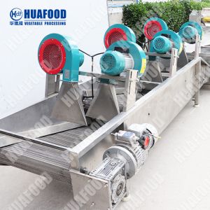 Fruit Vegetable Washing Making Machine Water Surface Cleaning Machine Food