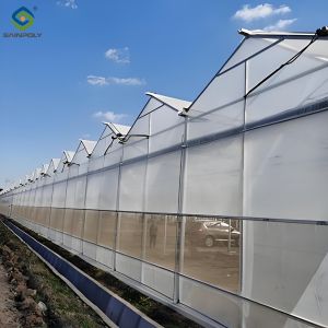Easy To Assemble Multi Span Greenhouse For Growing Vegetables And Flowers
