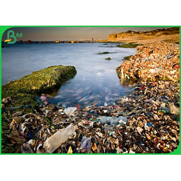 food grade straw paper 60gsm 120gsm Safe Harmless Food Grade Straw Paper Roll For Drinking Straws