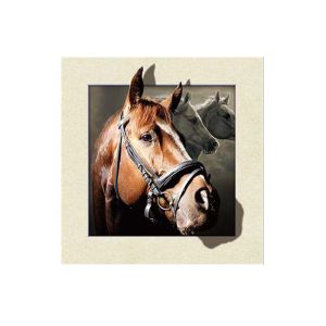 Stock Horse Image 5D Pictures Lenticular Photo Printing PET/PP Lenticular