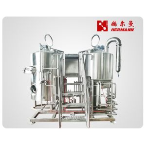 500L Cider Equipment International Standards 304 SS Body Material