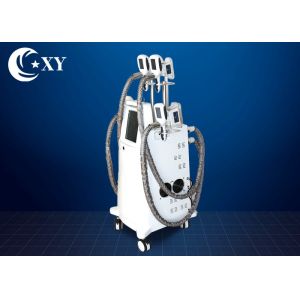 Ce Certificate Salon Cryolipolysis Slimming Machine For Fat Loss