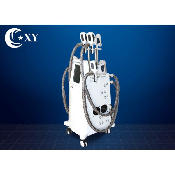 Buy Ce Certificate Salon Cryolipolysis Slimming Machine For Fat Loss at wholesale prices
