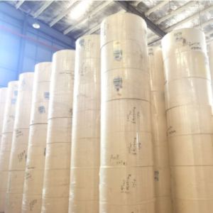 Greaseproof Packing Takeaway Cups Raw Material Single PLA Coated Customized