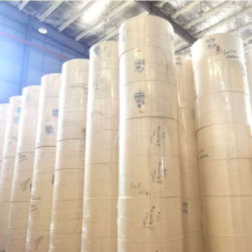 Buy Greaseproof  Packing Takeaway Cups Raw Material Single PLA Coated Customized Paper Cup Roll at wholesale prices