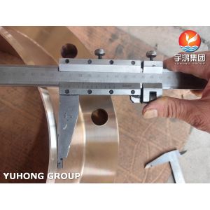 ASTM B283 C70620 Copper Nickel Alloy Flange for Chemical Industry