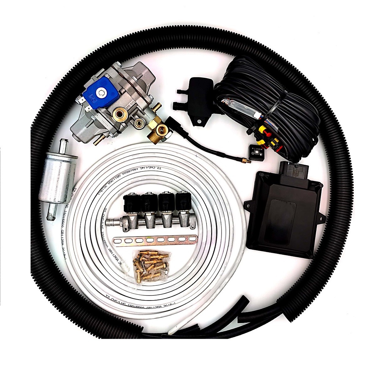 Car Petrol To CNG LPG Conversion Kits Sequential 4 Cyl Fuel Injection Kit