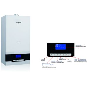 Powerful Wall Installed Gas Boiler Programmable Controls Variable Dimensions