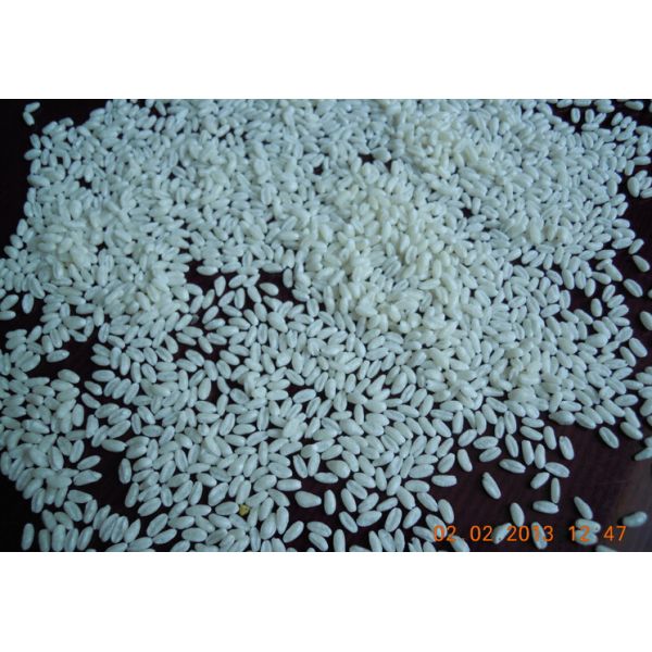 Nutritional Artificial Rice Making Machine Stainless Steel Twin Screw Extruder 150Kg / H Capacity