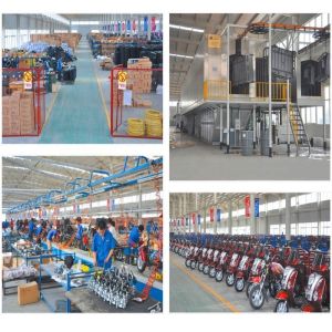 Rear Load Gasoline 1.5t 200w 5 Wheel Motorcycle