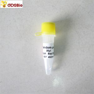 R2031 20uL Random Hexamer RNA Reverse Transcriptase Primer 6-Mer