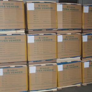 Man Made Wood Veneer Of Silver Tree Ring S.TR-X229 Standard Size 2500*640mm