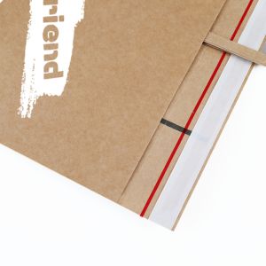 Customizable Biodegradable Kraft Paper Mailing Bags For Clothing