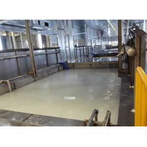 Pretreatment/Automotive Paint Shop