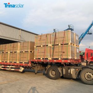 Trina Customized Solar Power Panel 645W 650W 660W with 22.5% and MC4 EVO2/TS4*