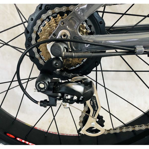 26" 1000W Bafang Rear Motor Fat Tire Electric Cargo Beach Cruiser Bike with 48V 21AH Lithium Battery