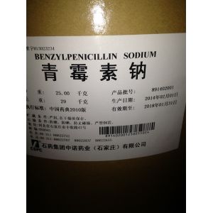 Quality ampicillin sodium for sale