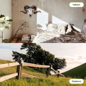 Functional Design Multifunction European Mount Skull Hanger Kit with Custom