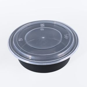 Reusable Disposable Plastic Food Containers Dishwasher Safe Takeaway Box