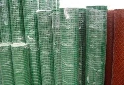 Hot Dipped Galvanized Welded Wire Mesh/ Stainless Steel Wire Mesh