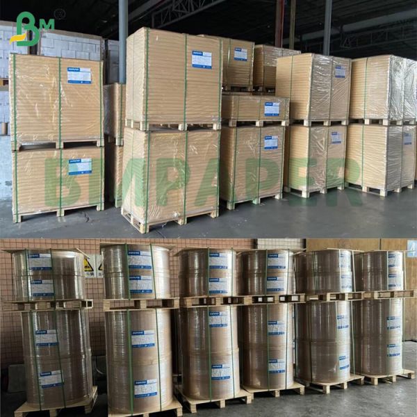 38gsm 100% Biodegradable 1050mm Grease Resistance White Pelleaglio Paper For Food Wrapping 38gsm 100% Biodegradable 1050mm Grease Resistance White Pelleaglio Paper For Food Wrapping