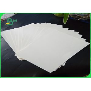 Tear Proof Polyethylene Coated Paper Biodegradable 160gsm With 10 PE Film