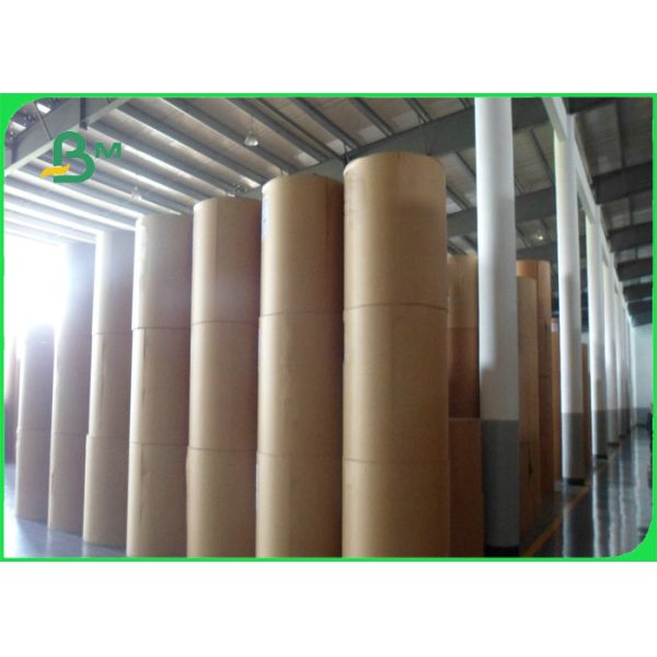 250gsm CKB White Coated kraft Back Board For Food Packaging Hard Stiffness 