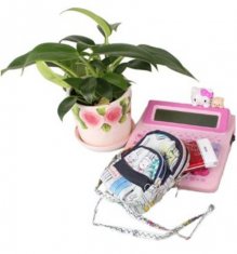 Lady Mobile Phone Belt Pouch / Cell Phone Holders odm-r3