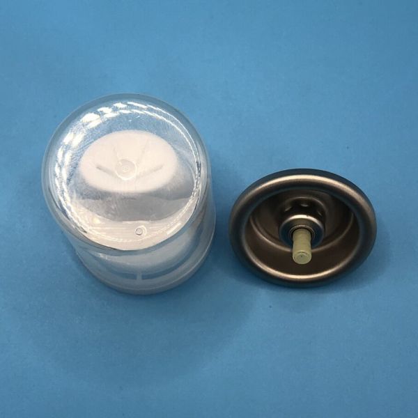 Heat Resistant Hair Mousse Spray Valve Style with Confidence