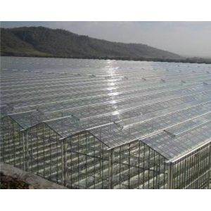 Good Light Transmission Glass Cover Venlo Greenhouse with Customization Option
