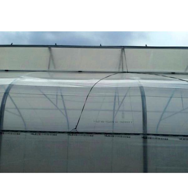 275gsm Zinc Coated Steel Pipe Greenhouse With Agricultural Plastic Film