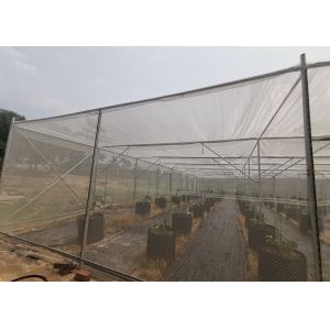 China Strong Frame Metal Frame Greenhouse For Potted Flower Cultivation on sale