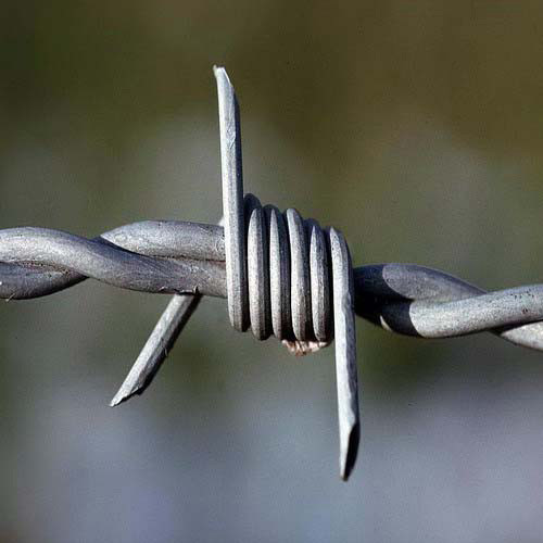 Barbed Wire 2 Strands 4 Points Eco-friendly African Double Twist Razor Wire