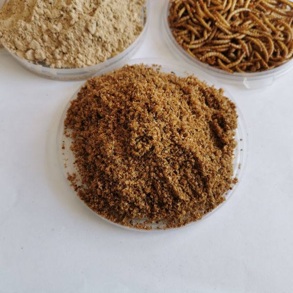 Dried Mealworm Protein Powder Mix with 71% Protein Content for You