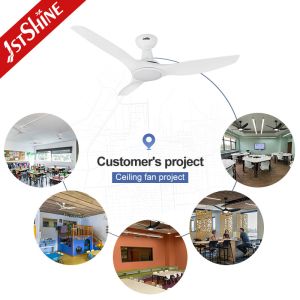 DC Motor 52 Inch ABS Blade Ceiling Fan with LED Light and Energy Saving Function