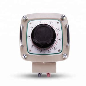 TSGC2 30KVA Adjustable Voltage Transformer 40 Amp Transformer Variac