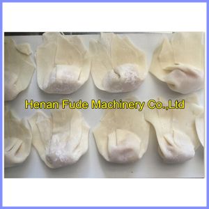 Italy ravioli making machine, restaurant wonton making machine