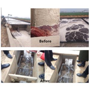 1200KG Halal Poultry Slaughter Plant for Advanced Cattle Sheep and Chicken