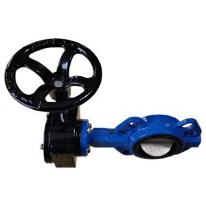 Ductile Iron DN6 Threaded Hydraulic Butterfly Valve