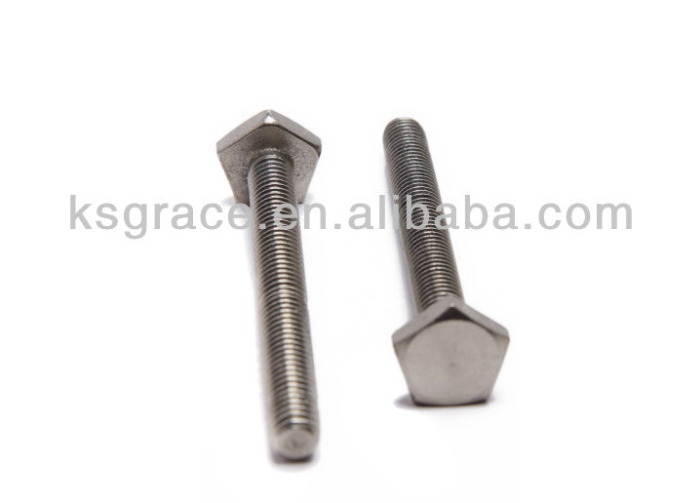 Fastener factory Stainless Steel Pentagon Bolt a2 70 stainless steel bolts