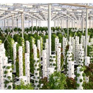 PE / Food Grade PVC Cover Indoor Hydroponic Aeroponic Growing Towers