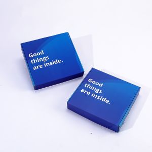 Custom CMYK Pantone Colour Printing Mailer Shipping Papier Karton Cardboard