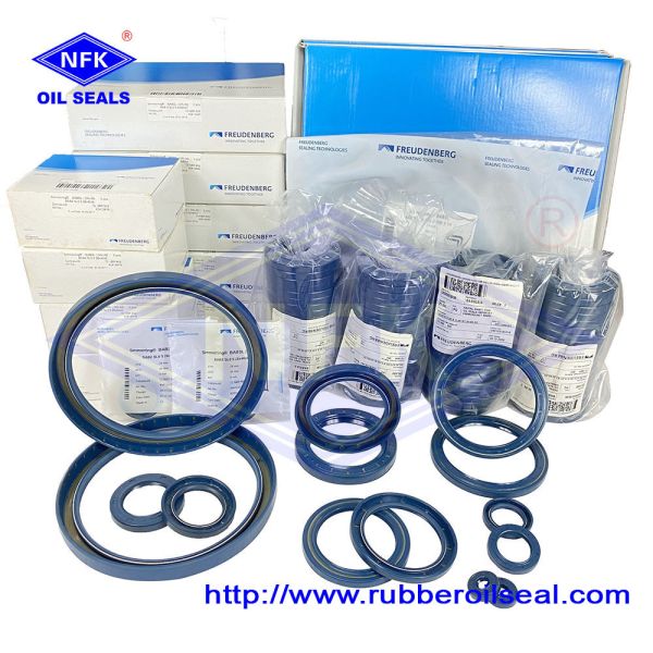 Aging Resistant Hydraulic Oil Seals