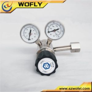 R11 Hydrogen Natural Gas Regulator , C2h2 Propane Panel Mounting Pressure
