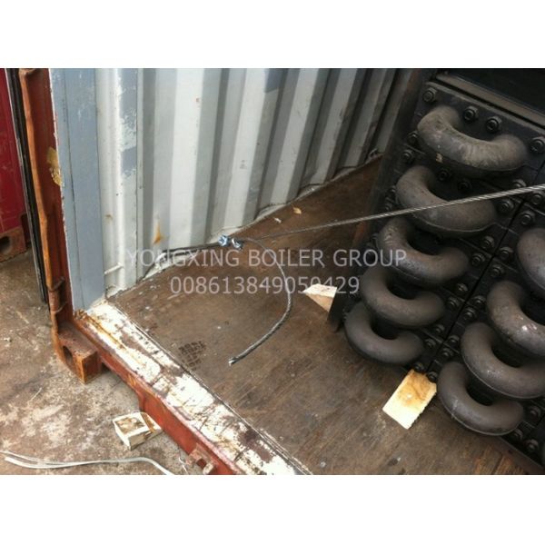 25 Ton Steam Boiler Economizer Cast Iron Coal Biomass Fired Boiler Economizer